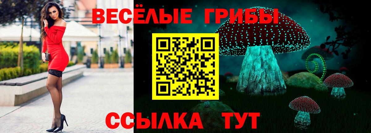 Псилоцибиновые грибы мухоморы Кыштым